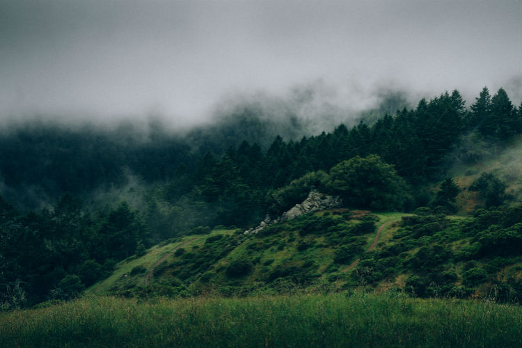 免费cc攻击测试